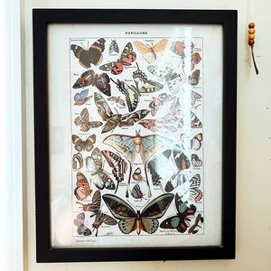 Vintage Butterfly Wall Decor